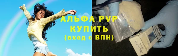 крисы Армянск