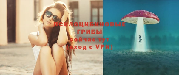 крисы Армянск