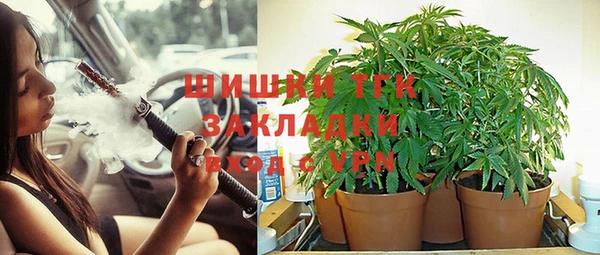 ешки Арсеньев