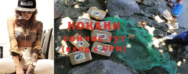 гидра Аркадак