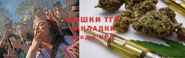 крисы Армянск