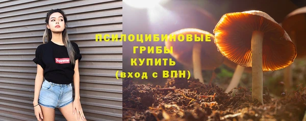 ешки Арсеньев