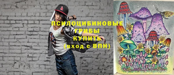 крисы Армянск